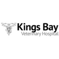 Kings Bay Veterinary Hospital coupons